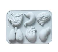 Moule à bonbons en forme d'organe - intestin, poumon, cœur et cerveau en