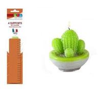 Moule à bougie Cactus en latex + supports de calage Multicolore