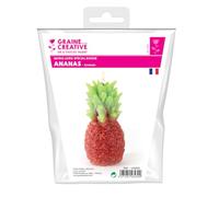Graine Créative Moule Latex Bougie Ananas