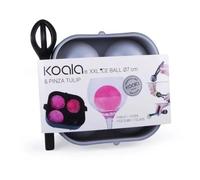 Moule À Glaçons Boule + Pince