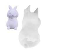 Moule à Lapin - Silicone | Lapin Pâques, Compact Easy Release Lavable Réutilisable, Design Flexible - Friandises à Bougies, Pour Maman, Femme, Petite amie, Amis Décoration de Fête de Famille, 1pc