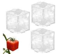 Moule à modeler les légumes - Kit de formes cubiques transparentes, boîte de contrôle de croissance des fruits, outil de formation pour le développement des avec un design clair d'observation