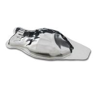 moule à poisson (20 pièces)