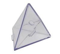 Moule à tomate en forme de fruit - Transparent et réutilisable - Kit de moule de croissance de fruits réutilisable pour la croissance des concombres, tomates, citrouilles, pastèques et plantes de