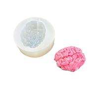 Moule De Cerveau En Silicone À Finition Miroir Résistant À La Surfaces Lisses Pour Les Projets Scientifiques Anatomie Éducative Silicone De Simulation Médicale