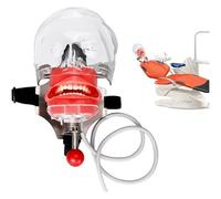 Moule d'enseignement dentaire Simulation orale Tête simple Modèle de dents d'entraînement Simulateur dentaire Mannequin de tête dentaire amovible A