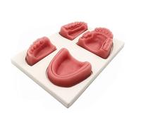 Moule d'entraînement en silicone for sutures gingivales multiples, module à quatre dents, for étudiants en médecine, for la formation en chirurgie buccale, permettant aux praticiens de pratiquer la co