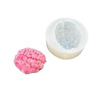 Moule en silicone avec finition miroir - Surface lisse - Pour projets scientifiques - Anatomie éducative