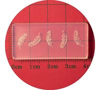 Moule en silicone pour nail art à cinq pétales - Outil de sculpture de fleurs