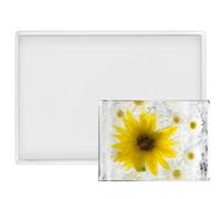 Moule en Silicone Rectangulaire pour Resine Epoxy, Grand Moule de Plateau Fruits Fournitures Réutilisable pour Moulage de Résine Artisanat Décorations Bricolage, 29,3 x 19,2 cm, 1 Pièce