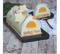 MOULE INSERT BUCHE