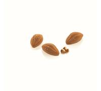 Moule silicone Cacao XS 12 Silikomart