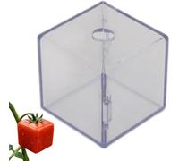 Moules à légumes à faire pousser - Transparent et réutilisable - Aide à la culture du , de la , de la pastèque et de la croissance des de jardin