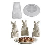 Moules À Plateau Lapin De Pâques En Silicone - Guide à Pochoir Réutilisable,Règle Gabarit pour Sourcils | Pour Bonbons Fruits Fêtes Anniversaire Bureau Maison Chambre École