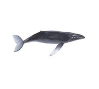 Moules Carrés En Résine De Silicone Moule De Modèle D'animal Marin De Mer Moules Époxy Remplissage De Créature Remplissage Facile À Utiliser Remplisseurs De Modèles D'animaux Marins De Créature