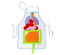 Moules D'organes De Tablier Anatomique - Tablier De Modèle D'anatomie Humaine 3D, Tablier D'affichage D'organes Réaliste | Tablier De Biologie Interactive Avec Composants D'orgue Souple, Tablier Éduca