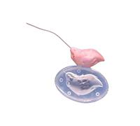 Moules en silicone de qualité supérieure en forme de queue de personnage d'anime pour argile facile à démouler et robuste pour une utilisation répétée dans les cours d'art. Accessoire créatif en