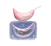 Moules en silicone de qualité supérieure pour argile facile à démouler et robuste pour une utilisation répétée dans les cours d'art et les moules éducatifs