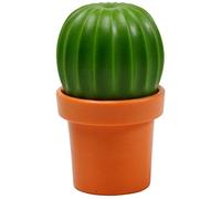 Moulin à poivre savoureux au sel de cactus