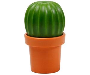 Moulin à poivre savoureux au sel de cactus