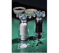 Bisetti Moulin à sel 930S – Acrylique transparent 14,5 cm – Article pour la cuisine