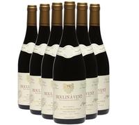 Moulin-à-Vent - Rouge 2023 - Maison Tramier - Vin Rouge du Beaujolais (6x75cl)