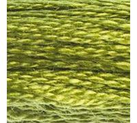 DMC Garn – Fil à broder mouliné 117-469 – Coton 6 brins – Avocat vert – 8 m