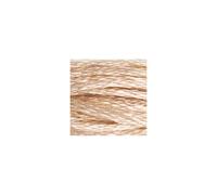 DMC Garn Fil mouliné Gold Concept 100% coton 8 m Col. 842 Beige Marron 6 brins