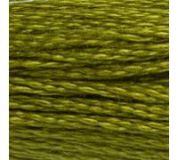 DMC Lot de 12 broderies en coton à 6 brins 8 m Vert mousse foncé -117-580