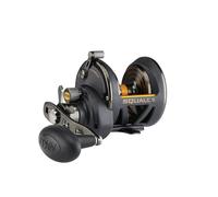 Moulinet mer casting Penn SQLII25NSD Squall II Noir TU