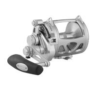 Moulinet Penn INT130VIS International Argenté TU