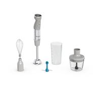 Moulinex Quickchef + DD67EB10 blender 0,5 L Mélangeur par immersion 1000 W Gris et Acier inoxydable