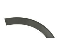 Moulure, baguette protectrice, porte BLIC 6601-02-2518424P