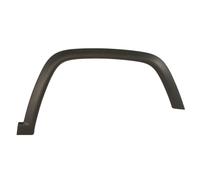 Moulure BLIC 5703-06-3217572P