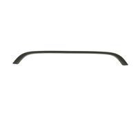 Moulure, capot moteur BLIC 6508-05-4001270P
