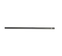 Moulure, carrosserie BLIC 5703-04-5050571P gauche