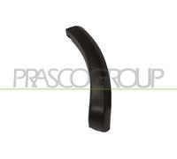 Moulure Décorative/Protectrice, Garde-Boue DA2261594 PRASCO Pour DACIA
