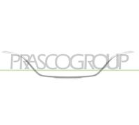 Moulure Décorative / Protectrice, Grille De Radiateur RN4332305 PRASCO