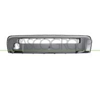 Moulure Décorative/Protectrice, Pare-Chocs CI2061246 PRASCO Pour CITROËN