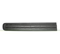 Moulure Décorative/Protectrice, Porte FT0401404 PRASCO pour FIAT