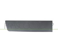 Moulure Décorative/Protectrice, Porte FT9301455 PRASCO pour FIAT