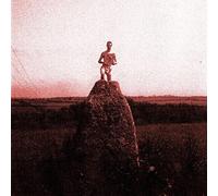 Mount Kimbie - Love What Survives-Remixes Part 1 (12''+Mp3) [Import]