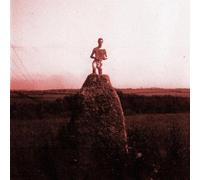 Mount Kimbie Love What Survives - Remixes Part 1 (Vinyl) 12" Single