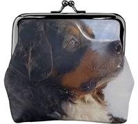 Mountain Dog Winter Portrait Porte-Monnaie en Cuir pour Femme, Petite Pochette à la Monnaie avec Fermoir à Fermeture Kiss-Lock Fermeture à Boucle Portefeuille pour Fille Cadeau