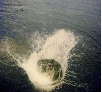 Mountain Man - Made the Harbour