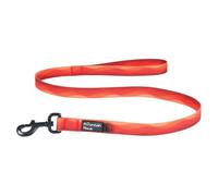 Mountain Paws Laisse Pour Chien Waterproof