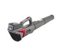 Mountfield Souffleur axial sans Fil 20 Li, Batterie 20 V (2 Ah), 280 W, Vitesse d'air maximale de 32 m/s, Vitesse Variable, Batterie et Chargeur Inclus