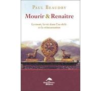 Mourir Et Renaître - La Mort, La Vie Dans L'au-Delà Et La Réincarnation