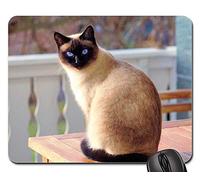 Mouse Pad, Chat Chat Siamois Fourrure Chaton Race Chat Mieze Tapis De Souris Gamer Antidérapante Tapis De Souris Résistant À Usure Souris De Bureau pour Ordinateur Pc Souris 25X30Cm