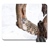 Mouse Pad, Chat Léopard des Neiges Gros Chat Chat Sauvage Chasse Neige Gaming Mousepad Antidérapante Tapis De Souris De Jeu Confort Tapis De Gaming pour Pc Souris Jeux 25X30Cm